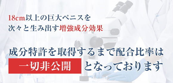 ベガリアの口コミ 2chの評価まとめ ペニス増大効果を持つ成分は入っている ぺにぞう Com